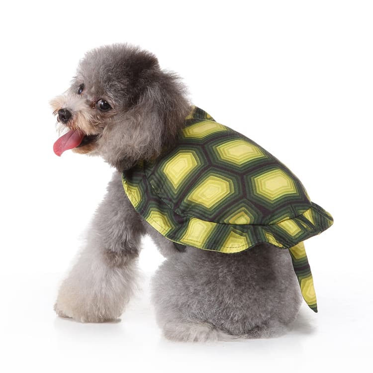 Halloween Dog Spider Costume