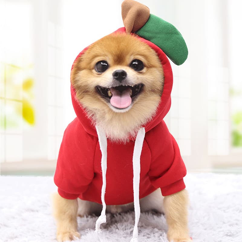 Cute Fruit Hooded Dog Sweatshirt