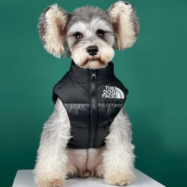 Warm Down Dog Vest