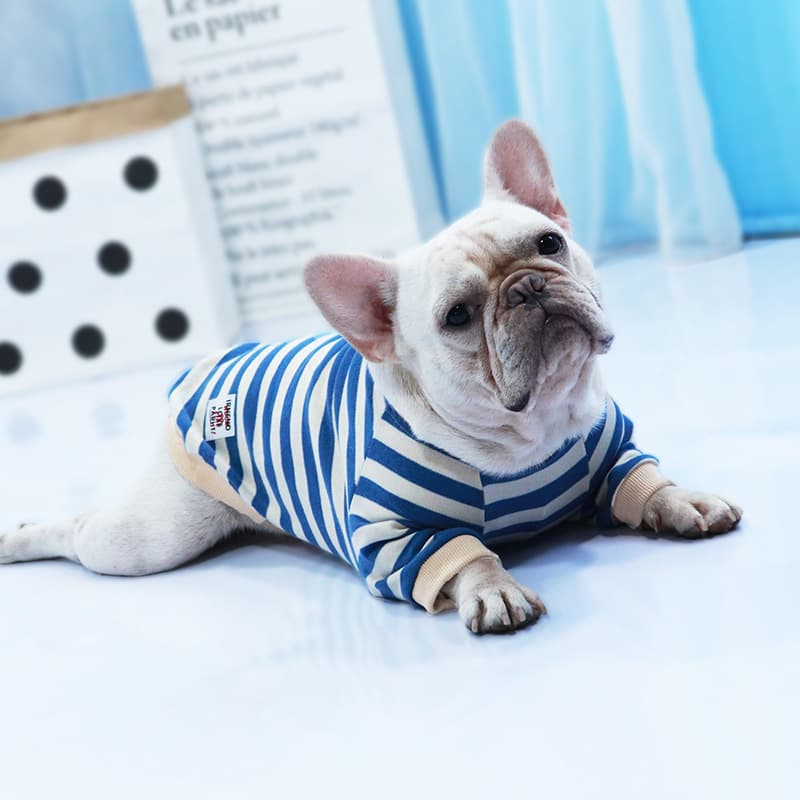 Blue Striped Knit Dog Sweater