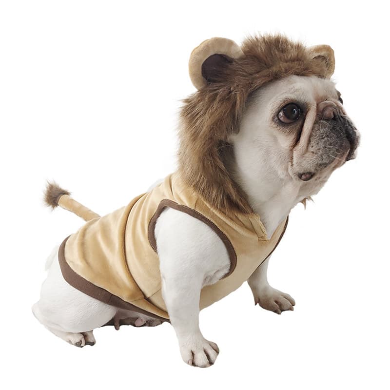 Faux Fur Lion Mane Dog Costume