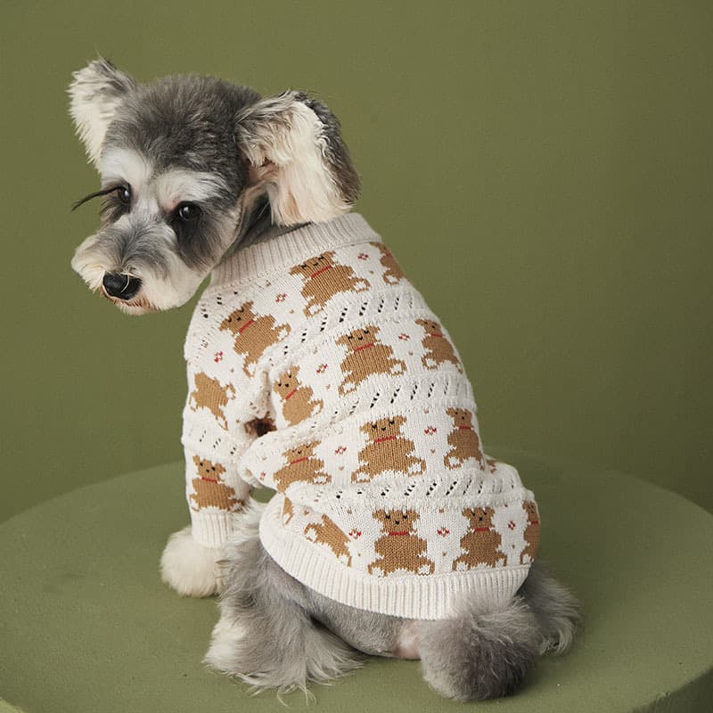 Cute Bear Knit Dog Sweater