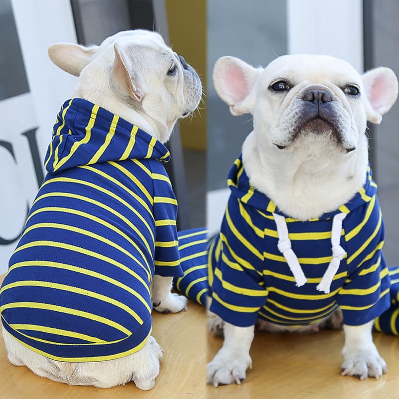 Striped Dog Hoodie