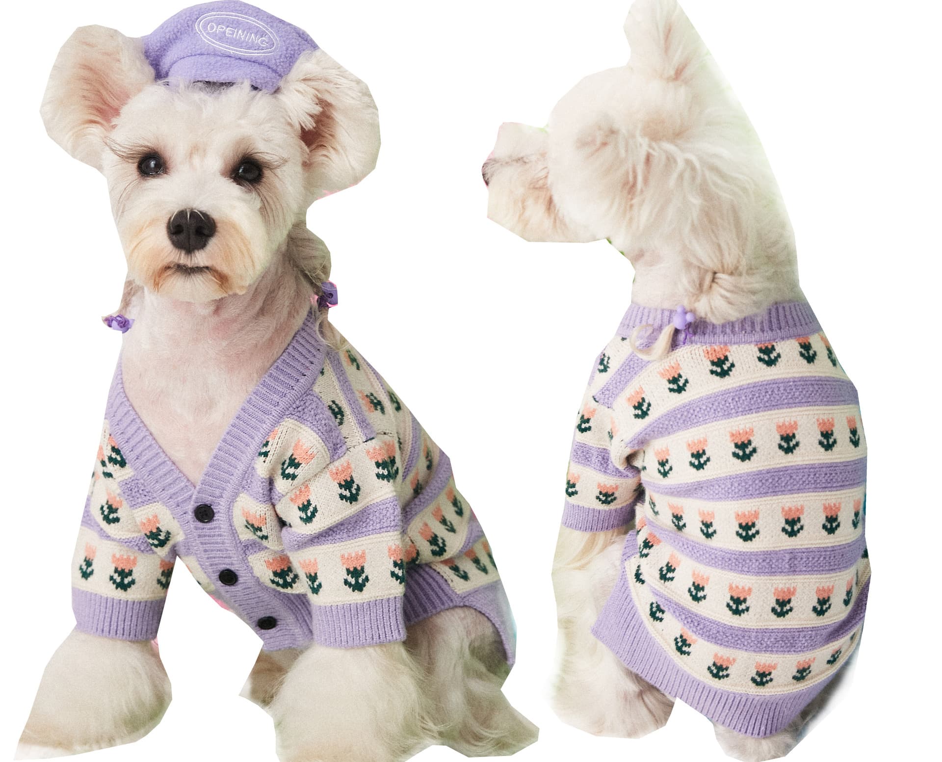 Purple Flower Dog Sweater