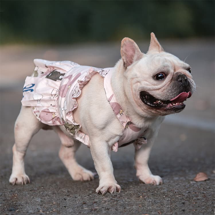 Pugs -Sized Dog Dress