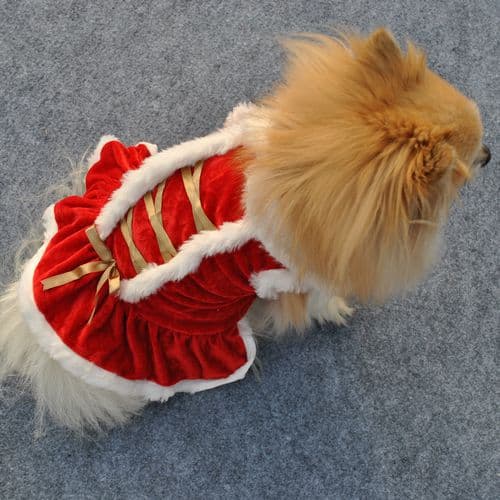 Christmas Classic Red Dog Dress