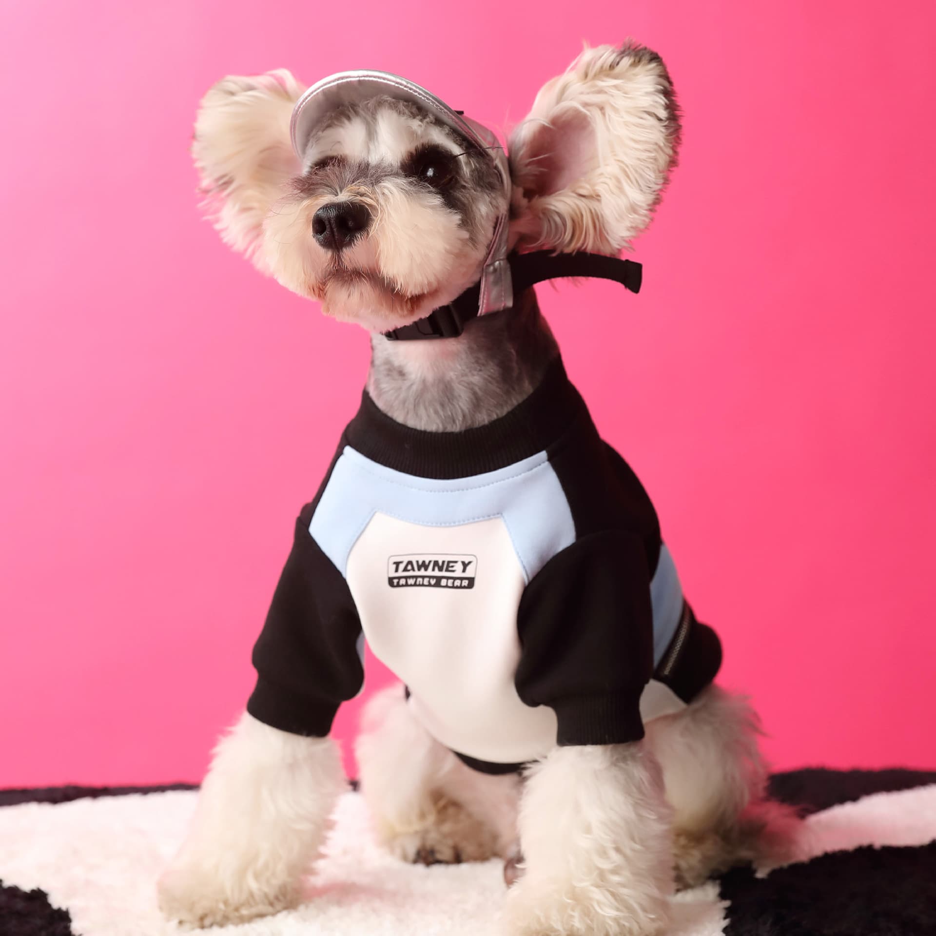 Colorblock Zipper Dog Hoodie