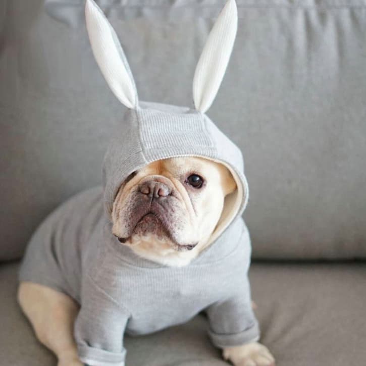 Bunny Ears Ribbed Dog Hoodie